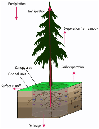 https://hess.copernicus.org/articles/28/5209/2024/hess-28-5209-2024-f02